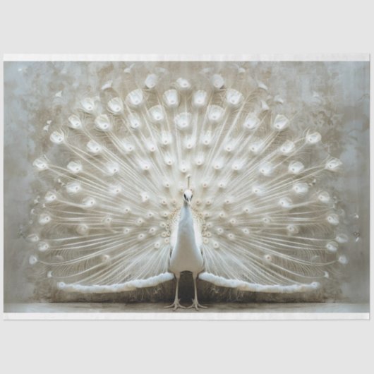 White Peacock Feathers ungezaubert Decoupage Seidenpapier (Vorderseite)