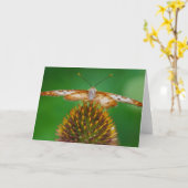 White Peacock Karte (Gelbe Blume)