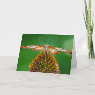 White Peacock Karte