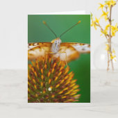 White Peacock Karte (Gelbe Blume)