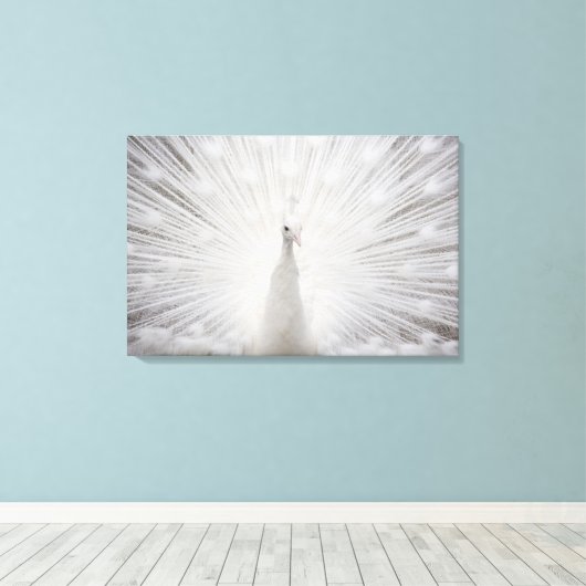 White Peacock Leinwanddruck (Insitu (Holzboden))