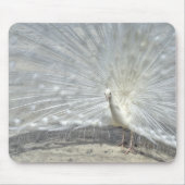 White Peacock Mousepad (Vorne)