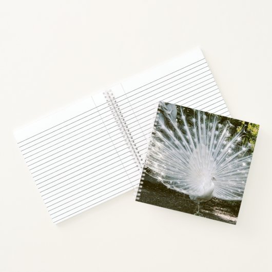 White Peacock Note Book Notizblock (Innenseite)