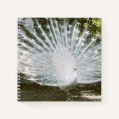 White Peacock Note Book Notizblock (Vorderseite)