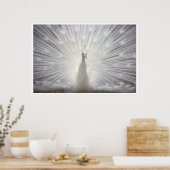 White Peacock Poster (Küche)