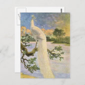 White Peacock Postkarte (Vorne/Hinten)