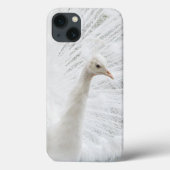 White Peacock schöne Federn Case-Mate iPhone Hülle (Rückseite)