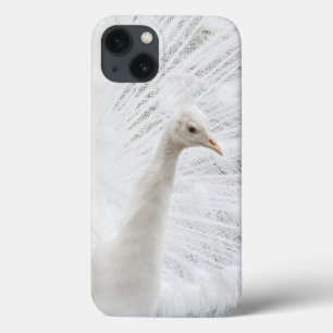 White Peacock schöne Federn Case-Mate iPhone Hülle