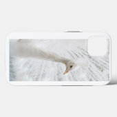 White Peacock schöne Federn Case-Mate iPhone Hülle (Rückseite (Horizontal))