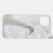 White Peacock schöne Federn Case-Mate iPhone Hülle (Rückseite (Horizontal))