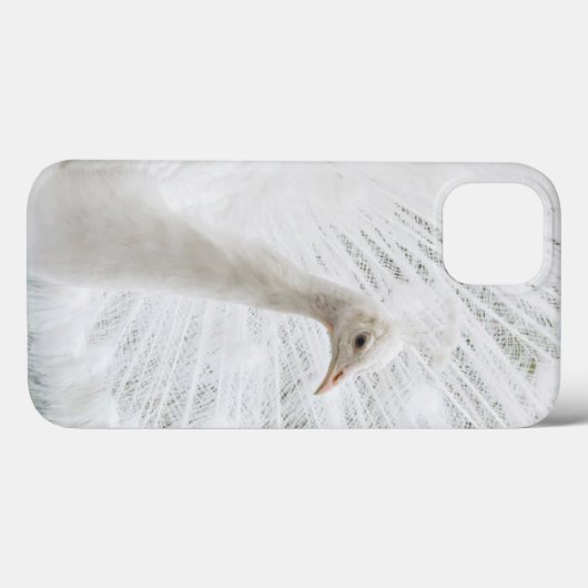 White Peacock schöne Federn Case-Mate iPhone Hülle (Rückseite (Horizontal))