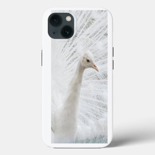 White Peacock schöne Federn Case-Mate iPhone Hülle (Rückseite)