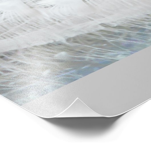 White Peacock schöne Federn Fotodruck (Ecke)