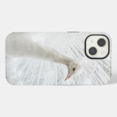 White Peacock schöne Federn iPhone Hülle (Rückseite (Horizontal))