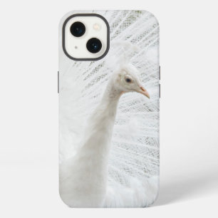 White Peacock schöne Federn iPhone 13 Hülle