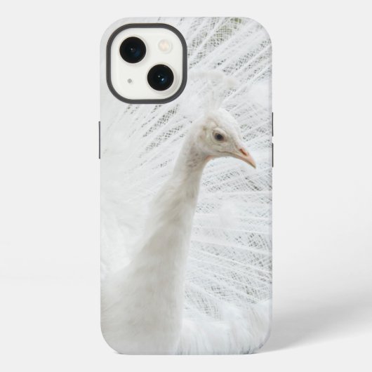 White Peacock schöne Federn iPhone Hülle (Rückseite)