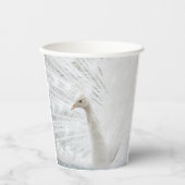 White Peacock schöne Federn Pappbecher (Vorderseite)