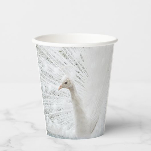 White Peacock schöne Federn Pappbecher (Vorderseite)