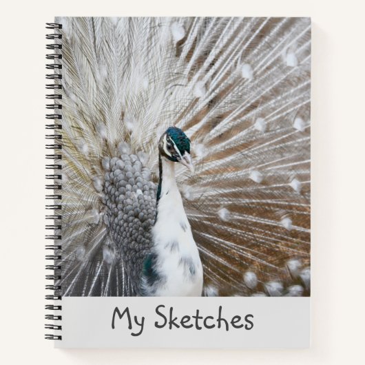 White Peacock Sketchbook Notizblock (Vorderseite)