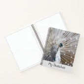 White Peacock Sketchbook Notizblock (Innenseite)
