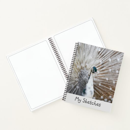 White Peacock Sketchbook Notizblock (Innenseite)