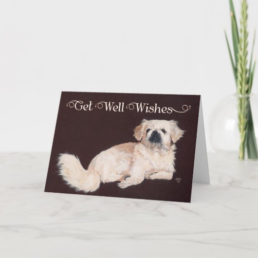 White Pekingese Get Well Card Karte (Vorderseite)