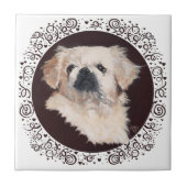 White Pekingese Kopfstudie Fliese (Vorderseite)