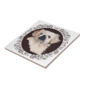 White Pekingese Kopfstudie Fliese (Seite)
