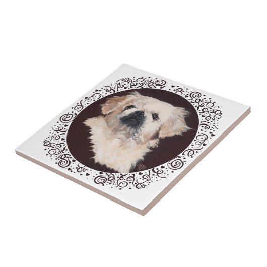 White Pekingese Kopfstudie Fliese (Seite)