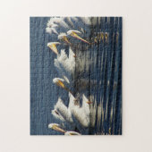 White Pelican Bird Wildlife Animal Swimmingpool Puzzle (Vertikal)