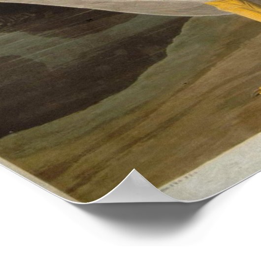 White Pelican, John James Audubon Poster (Ecke)