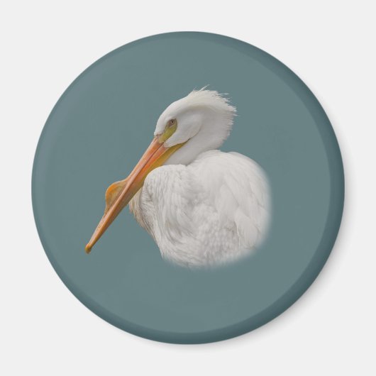 White Pelican Magnet (Vorne)
