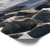 White Pelican Poster (Ecke)