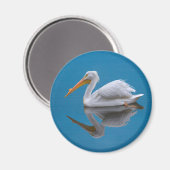 White Pelican Reflection Magnet (Vorderseite/Rückseite)