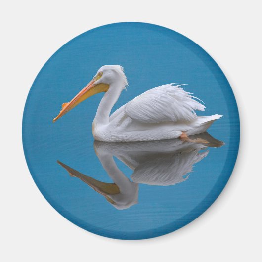 White Pelican Reflection Magnet (Vorne)