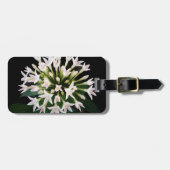 White Pentas Gepäckanhänger (Vorderseite horizontal)