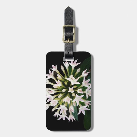 White Pentas Gepäckanhänger (Vorderseite vertikal)