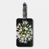 White Pentas Gepäckanhänger (Rückseite vertikal)