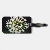 White Pentas Gepäckanhänger (Rückseite horizontal)