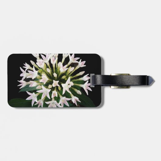 White Pentas Gepäckanhänger (Rückseite horizontal)