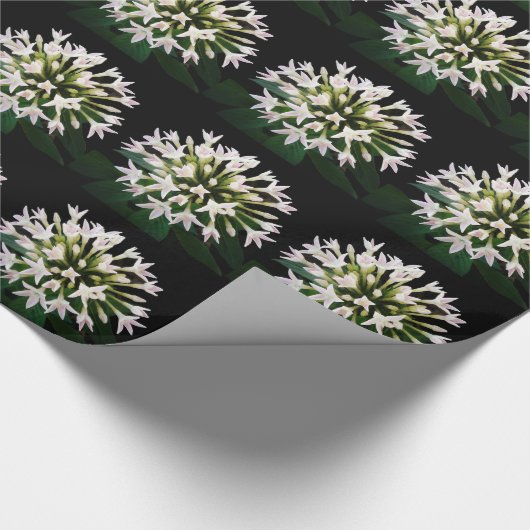 White Pentas Geschenkpapier (Ecke)