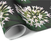 White Pentas Geschenkpapier (Rolleneckpunkt)