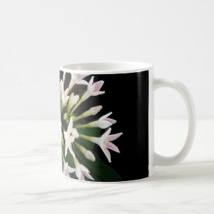 White Pentas Kaffeetasse