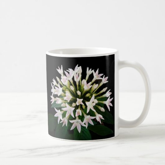 White Pentas Kaffeetasse (Rechts)