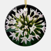White Pentas Keramik Ornament (Vorne)