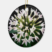 White Pentas Keramik Ornament (Links)
