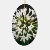 White Pentas Keramikornament (Links)