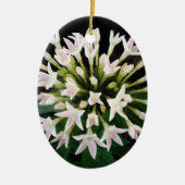 White Pentas Keramikornament (Vorne)