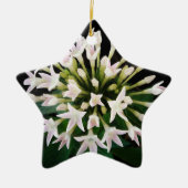 White Pentas Keramikornament (Vorne)