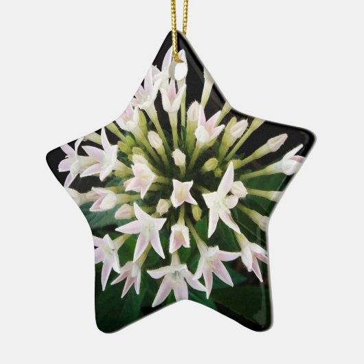 White Pentas Keramikornament (Links)